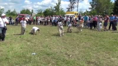 U subotu druge seoske sportske igre u Gornjem Ladanju