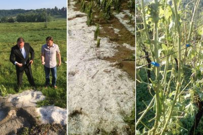 Milijunske štete: Tuča uništila usjeve, vinograde i voćnjake na području općine Bednja