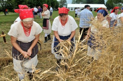 U subotu 6. Žetvene svečanosti Općine Trnovec Bartolovečki