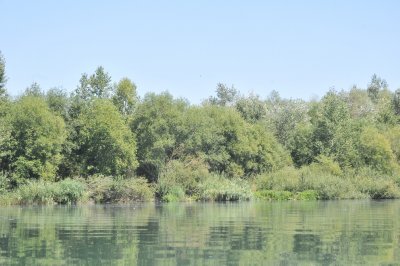 Muškarac i žena se bezbrižno kupali na Cirkovečkoj, a lopov ih okrao