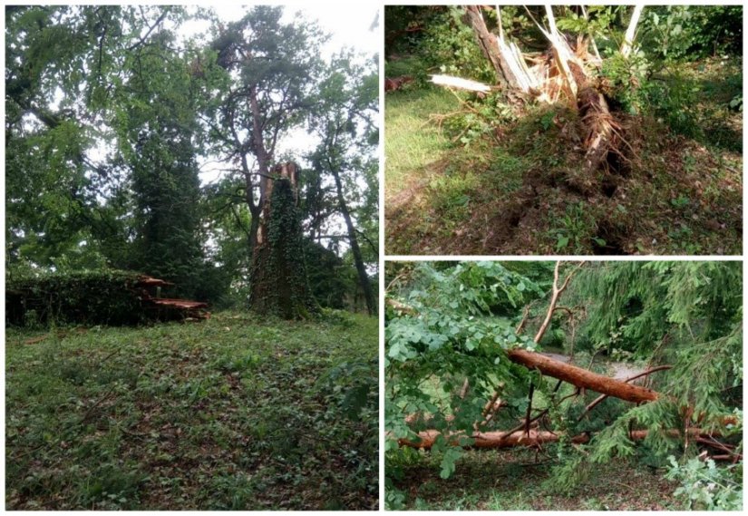 FOTO Olujno nevrijeme čupalo stoljetna stabla u parku u Varaždinskim Toplicama