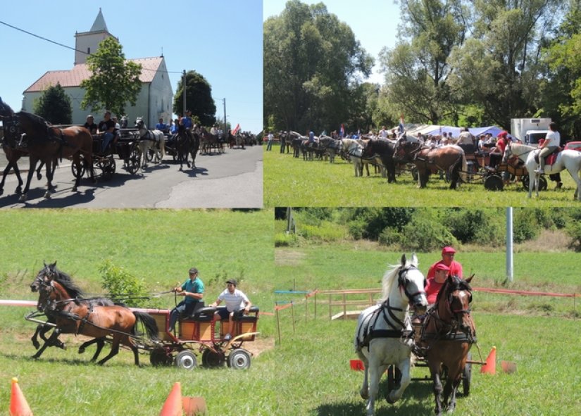 FOTO: Prve konjičke igre u Visokom okupile brojne posjetitelje iz okolice, ali i šire