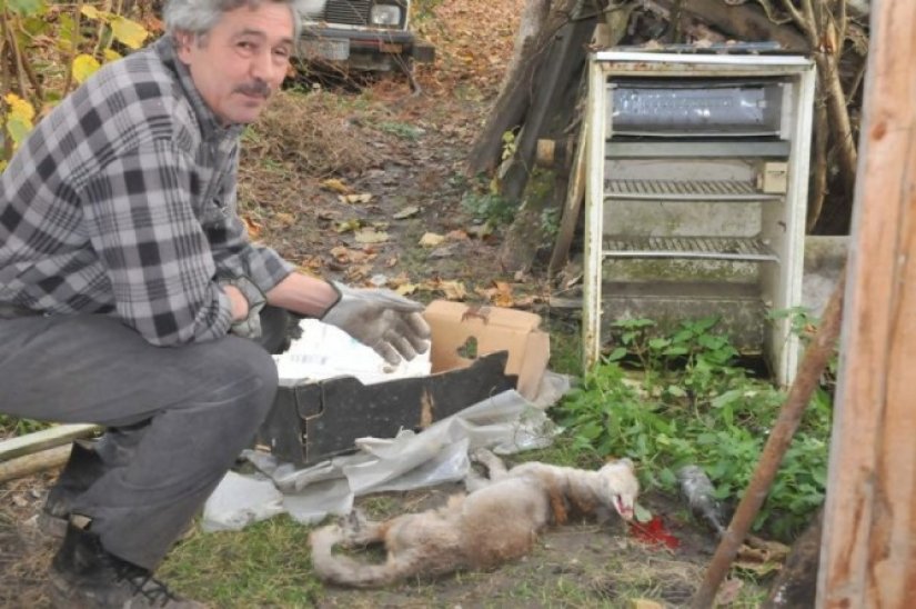 Sastanak u Općini Vinica: Treba zaštititi mještane od lisica!