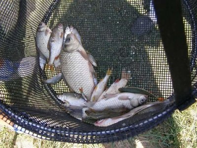 Novomarofski ribiči pozivaju na KUP Marofa kod ribičke kuće