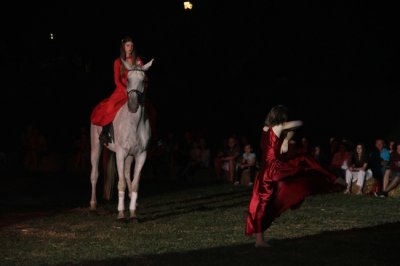 Zrinski ART festival: Bogati umjetnički sadržaji u srcu Međimurja