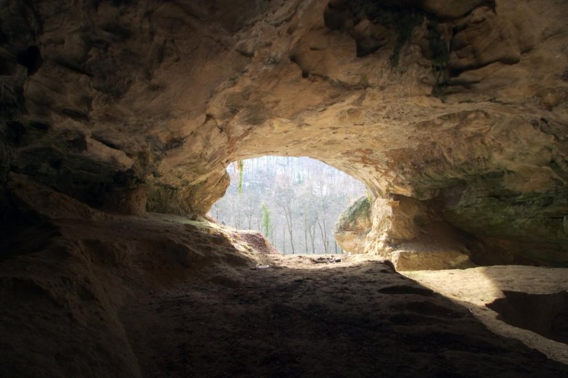 Znanstvenici s Oxforda: Neandertalci iz Vindije bili su mnogo stariji no što se mislilo