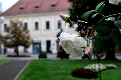 FOTO Prekrasni Varaždin u tmurno i maglovito jesensko jutro