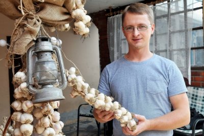 Usprkos konkurenciji iz uvoza na OPG-u Friščić u Hrastovljanu proizvode domaći češnjak