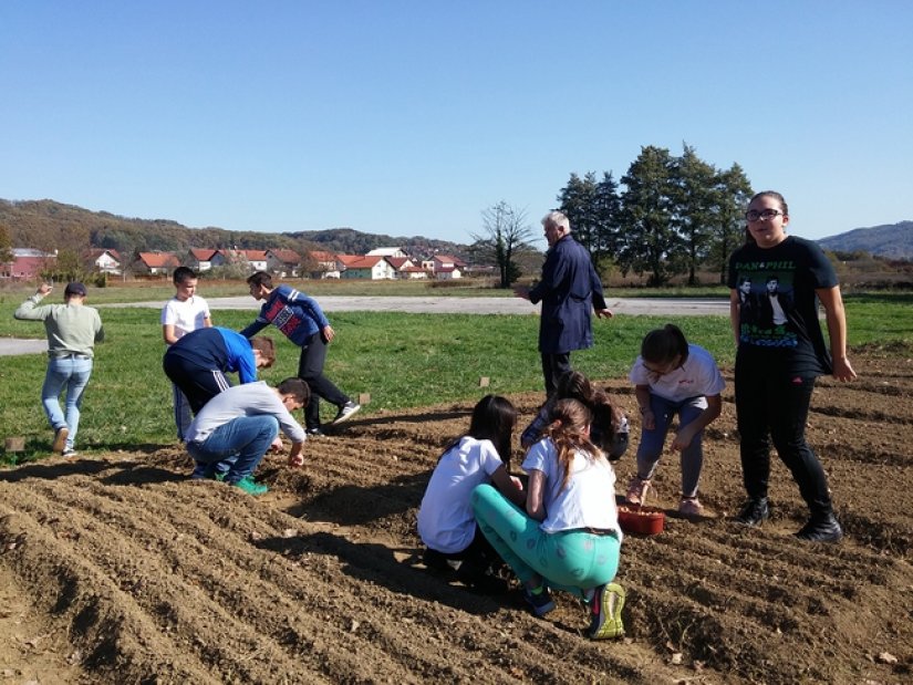 Toplički učenici u školskom vrtu uzgojili 115 kilograma luka i 1,5 kilograma češnjaka