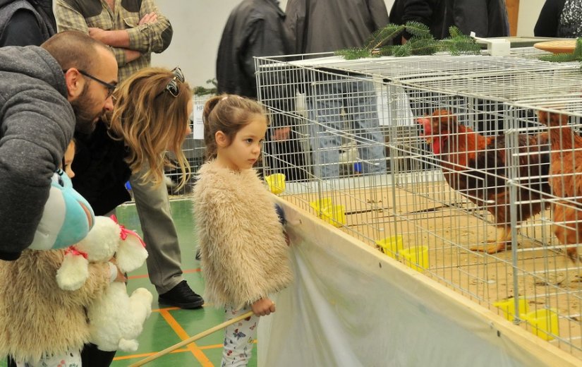 FOTO U Graberju zagorski purani, kokoši hrvatice, dravske guske, posavske kukumaste patke…