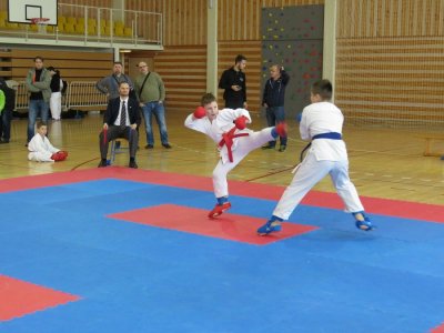U Cestici održano 1. kolo međužupanijske lige u karateu