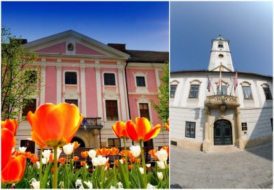 U Varaždinskoj županiji, gradu i općinama &quot;samo&quot; 22 uhljeba na 10.000 stanovnika