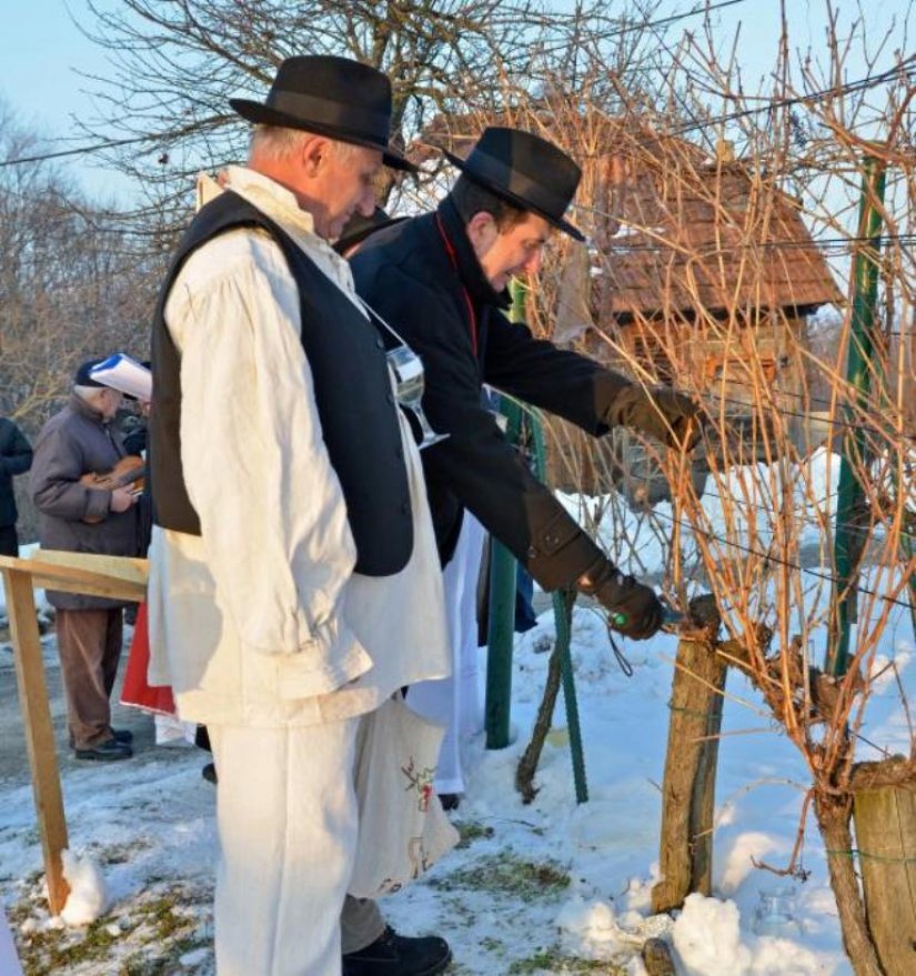 Vincekovo u subotu s Udrugom voćara i vinogradara &#039;&#039;Mejaši&#039;&#039; iz Ljubešćice