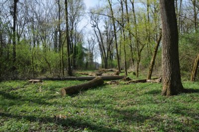 U Dravskoj park šumi uredit će se poučna staza i izgraditi vidikovac