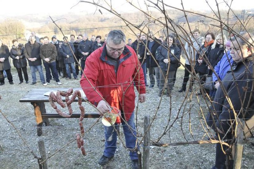 Cestički vinogradari &quot;Vincekovo&quot; će obilježiti u nedjelju na Lovrečan Bregu