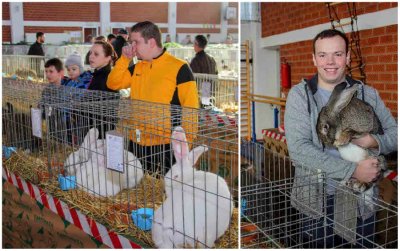 Izložba malih životinja u Ivancu: Uzgoj malih životinja nije biznis, već priča koja krijepi dušu