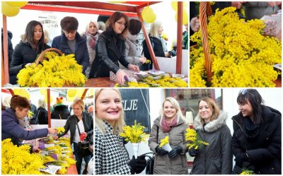 FOTO U Varaždinu obilježen 11. Dan mimoza i Nacionalni dan borbe protiv raka vrata maternice