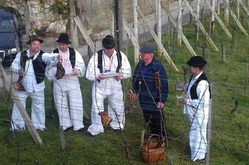 Vincekovo u Tužnom: Tradicionalnom rezidbom trsa započeli vinogradarsku godinu