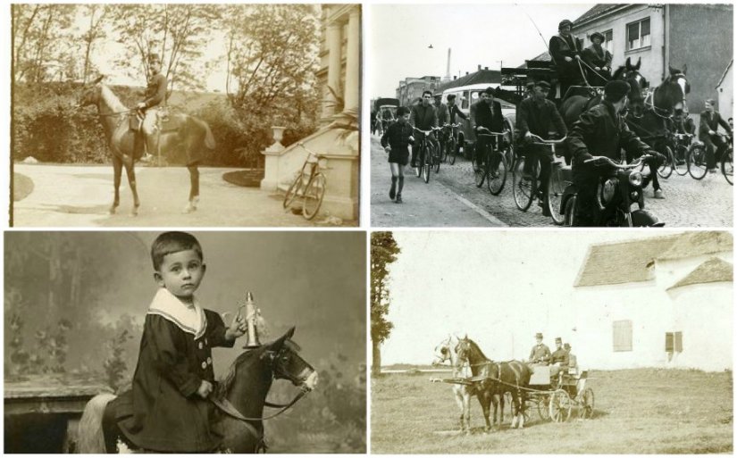 Predavanje Miljenka Ernoića u Herzerici pod nazivom Konj i čovjek - nekad i danas