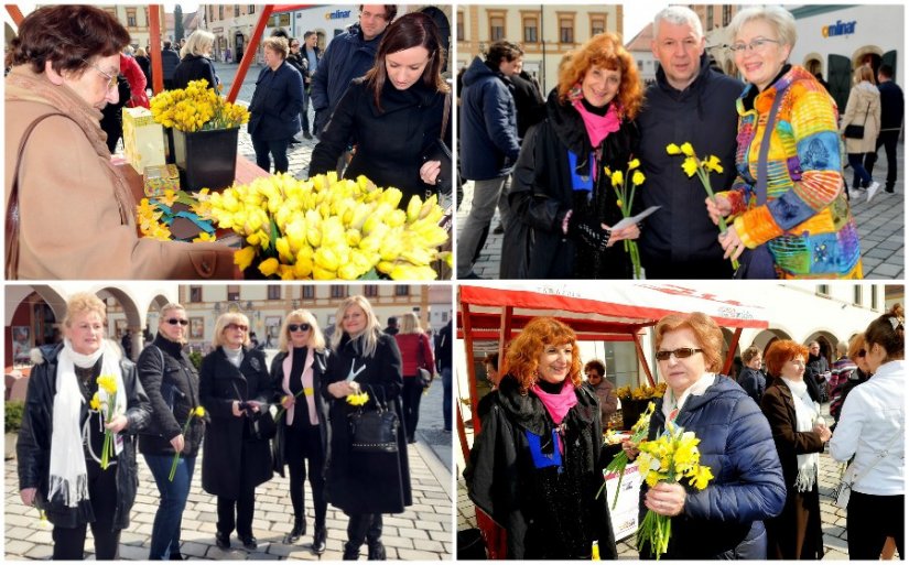 FOTO: Podjelom narcisa ukazali na važnost prevencije i rano otkrivanje raka dojke