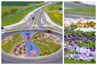 FOTO Pogled na varaždinske rotore u šarenom, proljetnom, cvjetnom ruhu