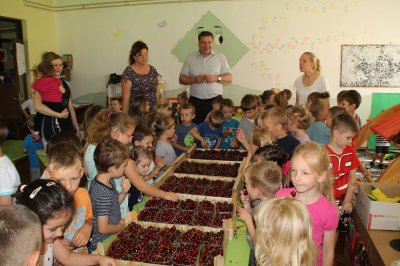 Osnovnoškolci i vrtićki mališani na lepoglavskom području osladili se trešnjama