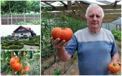 &quot;Rekorderi&quot; u vrtu Marijana Vrčeka iz Jalkovca: Recept za divovsko bilje - glazba i poseban priprava