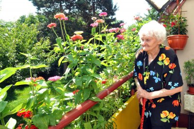 Lijepi dečki, pelargonije i petunije krase najljepši balkon Doma za starije i nemoćne Varaždin