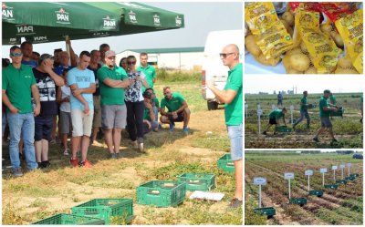 FOTO Dan polja krumpira: Obitelj Hladika iz Nedeljanca predstavila 15 sorti krumpira