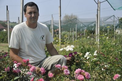 Zahvaljujući OPG-u Šimak, u Vinici rastu ruže kakvih nema nigdje u Hrvatskoj