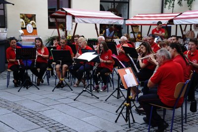 Puhački orkestar grada Ludbrega