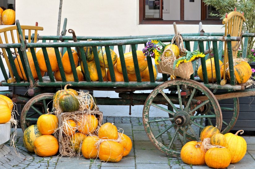 Danas u atriju Županijske palače cestička vina, ali i revija starinskog donjeg rublja