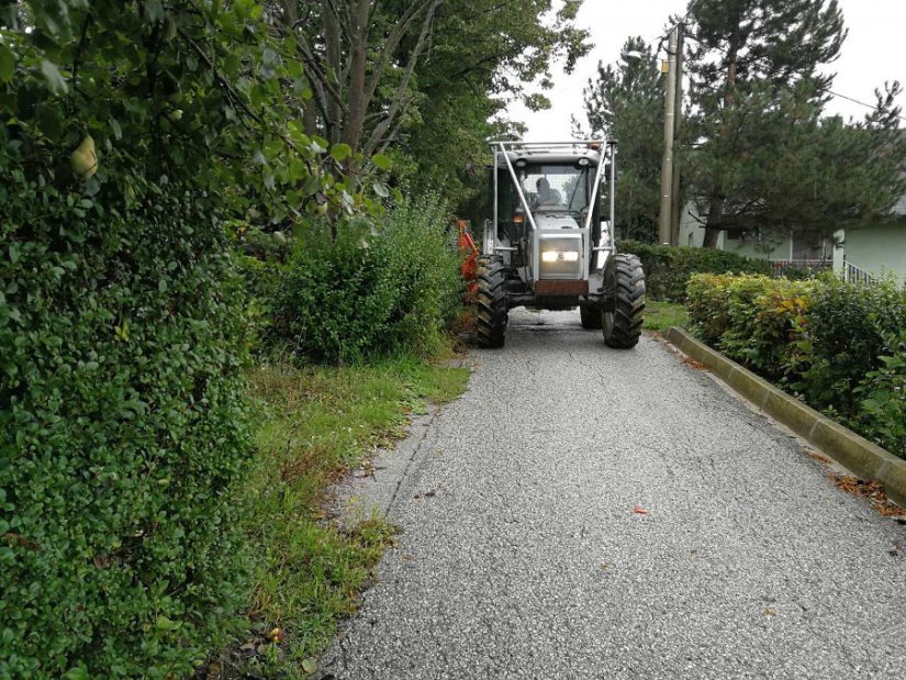 Oglušili se na upozorenja pa komunalci kreću u akciju orezivanja živica i granja