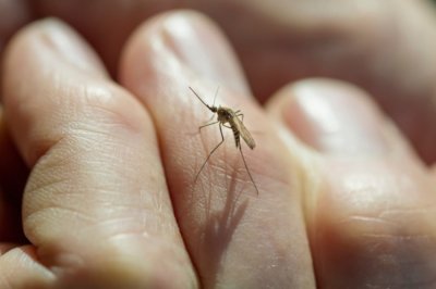 Zbog pojave groznice Zapadnog Nila varaždinska bolnica će provoditi testiranje krvnih uzoraka