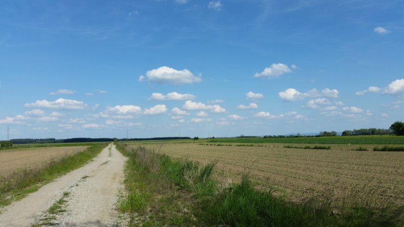 Iz Općine Vinica poljoprivrednike pozivaju da se pridržavaju agrotehničkih mjera