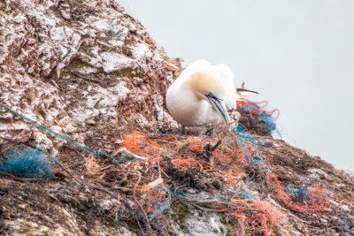 Alarmantno: Svake godine u oceanima završi do 13 milijuna tona plastičnog otpada!