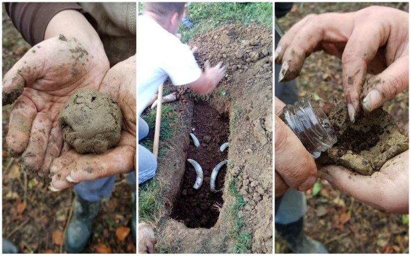 Sutra edukacija o biodinamičkoj poljoprivredi u HGK Varaždin