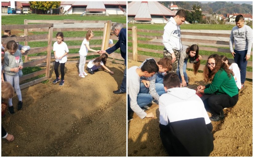 Obilježavanjem zahvalnosti za plodove zemlje toplički učenici posadili luk u školskome vrtu