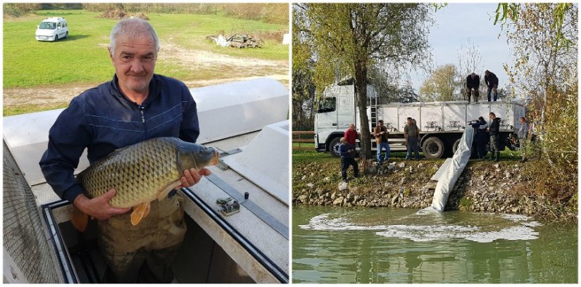 Kneginečki ribnjaci poribljeni šaranima do 10 kg!