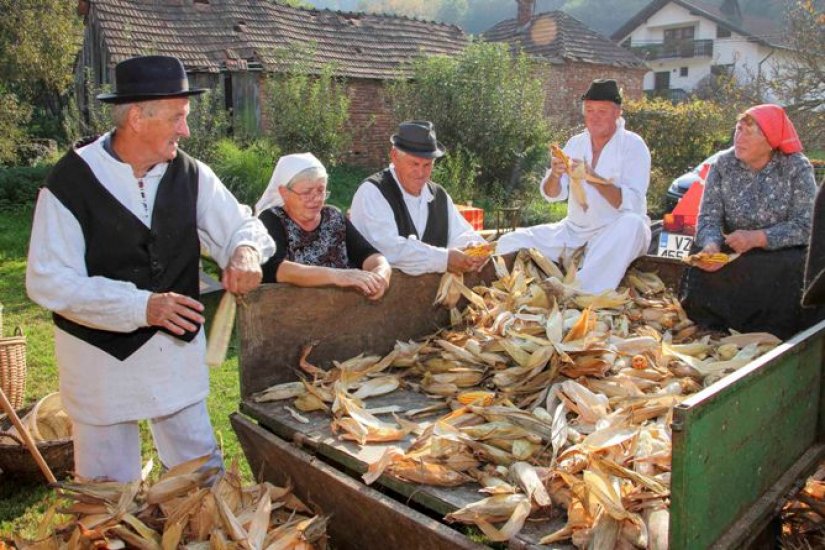 Grad Ivanec je financijski podupro ivanečku trebitvu kuruze