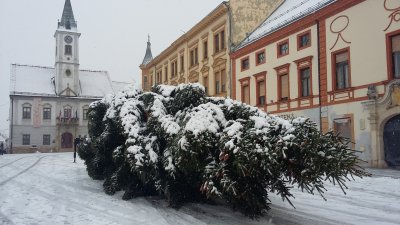 Božić nam je pred vratima: Na ulicama snijeg, a na Korzu - jelka!