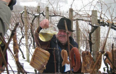 Vinički vinogradari nastavljaju tradiciju obilježavanja Vincekova