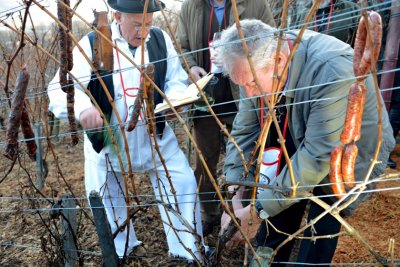 Tradicionalno Vincekovo: U subotu veseli pohod po topličkim bregima