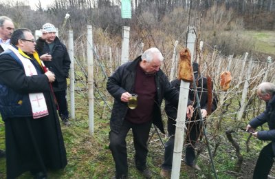 Skrajski pajdaši u utorak slave Vincekovo i započinju novu vinogradarsku godinu