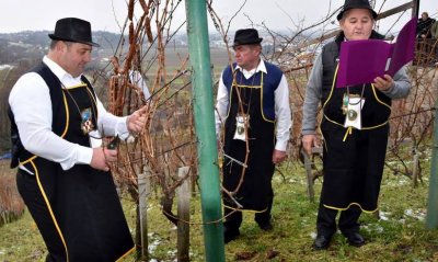Ludbreški vinogradari slavili Vincekovo do duboko u noć