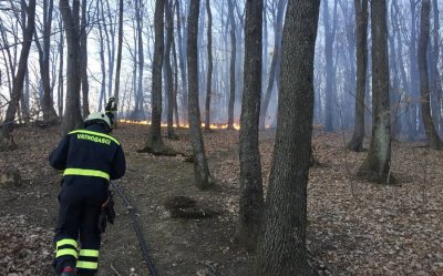 Vatrogasci apeliraju: Spriječimo požare otvorenog prostora