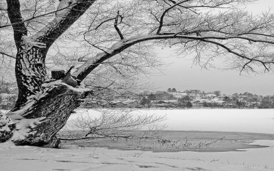 U Ludbregu izložba fotografija Aleksandra Horvata &quot;Moj grad&quot;