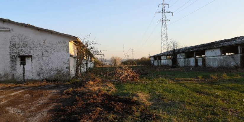 I mještani Gornjeg Kućana žale se na smrad farmi svinja, a u Brezju niču nove farme