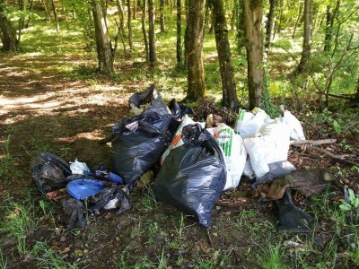 Na Dan planeta Zemlje u Lepoglavi i Klenovniku &quot;Zelena čistka&quot; i podjela sadnica