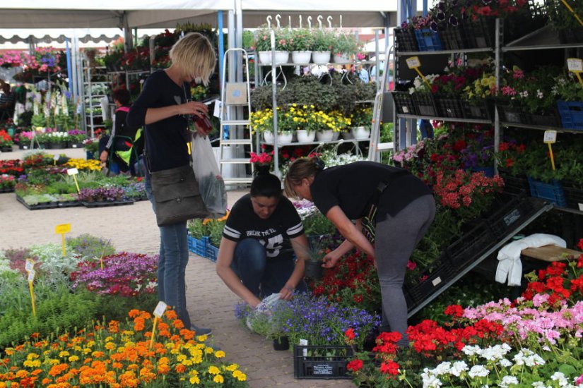 Flora Centrum Mundi 2019: Cvjetno šarenilo, Crvena jabuka i Lidija Bačić